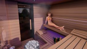 steam sauna bio 