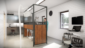 horse washing and solarium