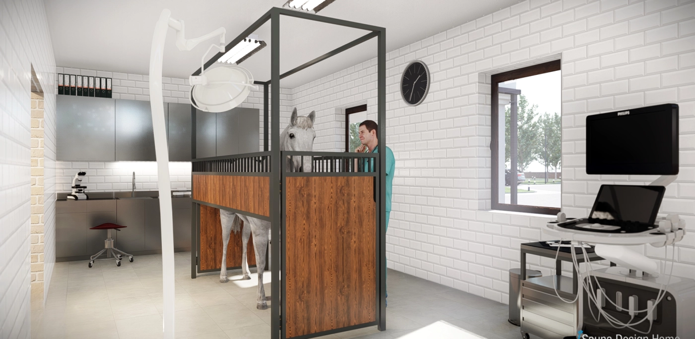 horse washing and solarium