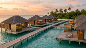 Tropical Relaxation
