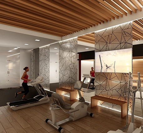Home Fitness And Sauna Design - The Elegance Of Isauna Design 