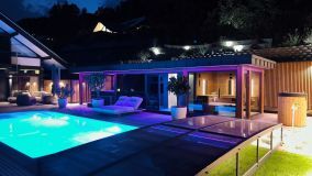 Premium Sauna House with Glass Front