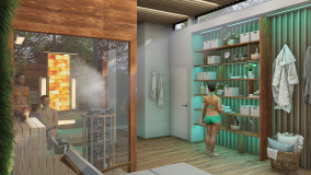 Premium indoor combined sauna